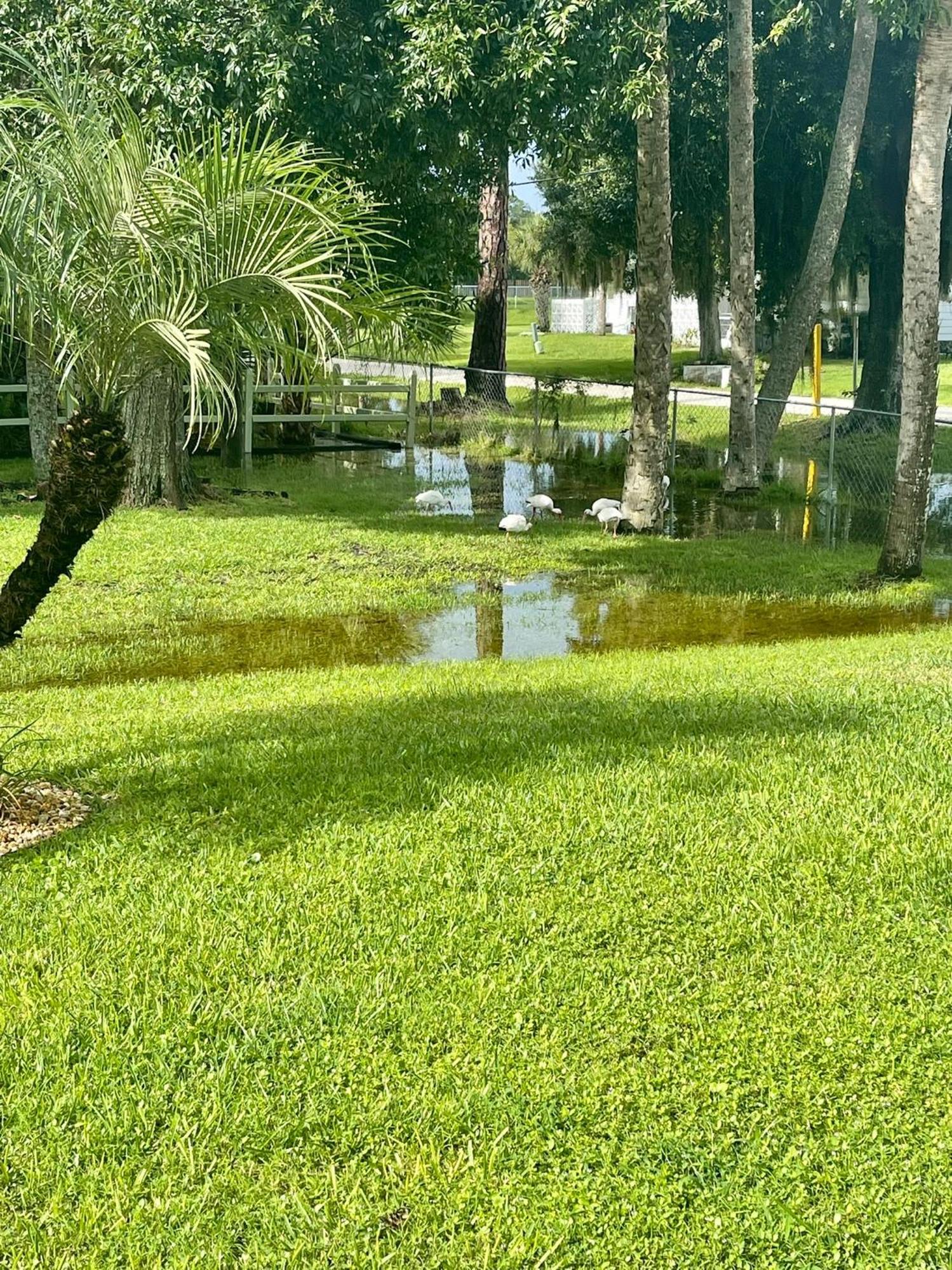 Sunny Oasis Getaway -Heated Pool-Mini Golf-Near Beach Nokomis Exteriér fotografie